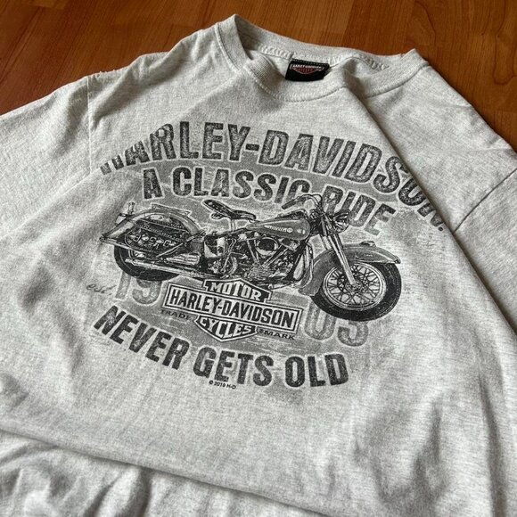 Harley Davidson Men's Grey T-shirt - Picture 2 of 3